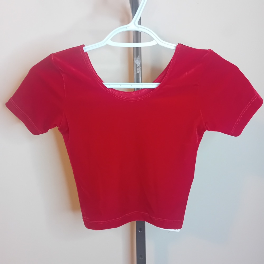 NWT Y2K American Apparel Velvet Crop Top Short Sleeve Tee Shirt Bloody Red‎ XS - Picture 11 of 16